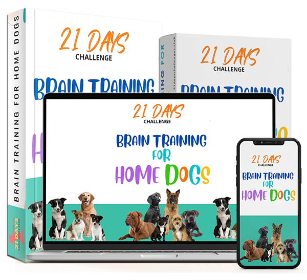 21-Bundle-600x547 new